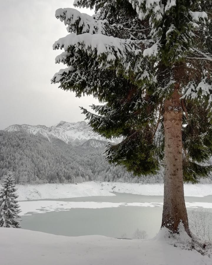 Elison-On The Lake B&B Sauris Exteriör bild